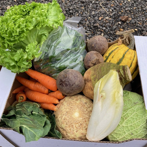 Share of the Harvest - 10 veg boxes