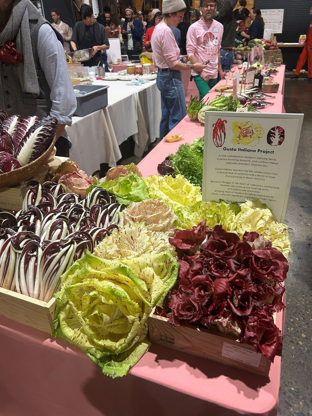 Calixta's Road Trip Diary, Part 1 – Flourish Farm Shop