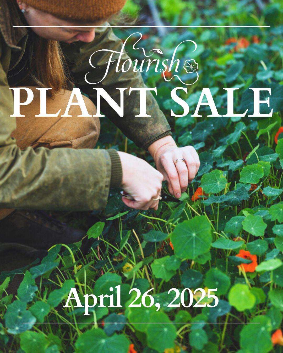 Plant Sale and Biodynamics – Flourish Farm Shop