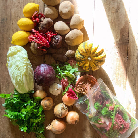 Share of the Harvest - 10 veg boxes