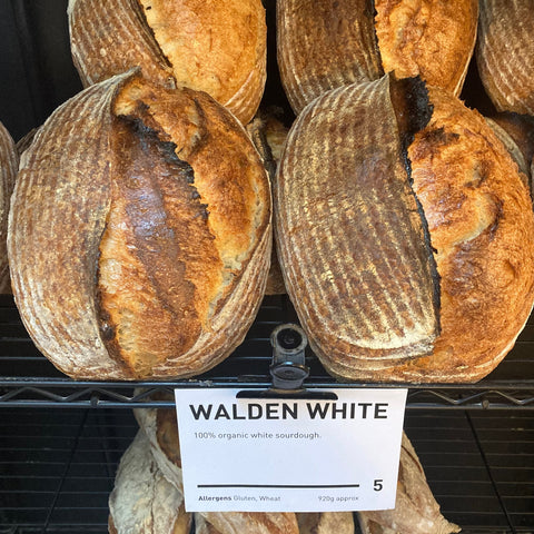 Mini Miss Bread - Walden Whites